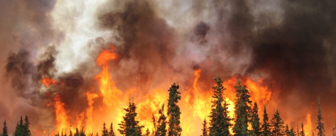 Arizona Wildfire Home Insurance