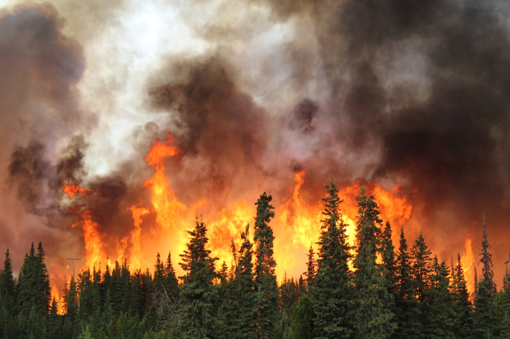 Arizona Wildfire Home Insurance