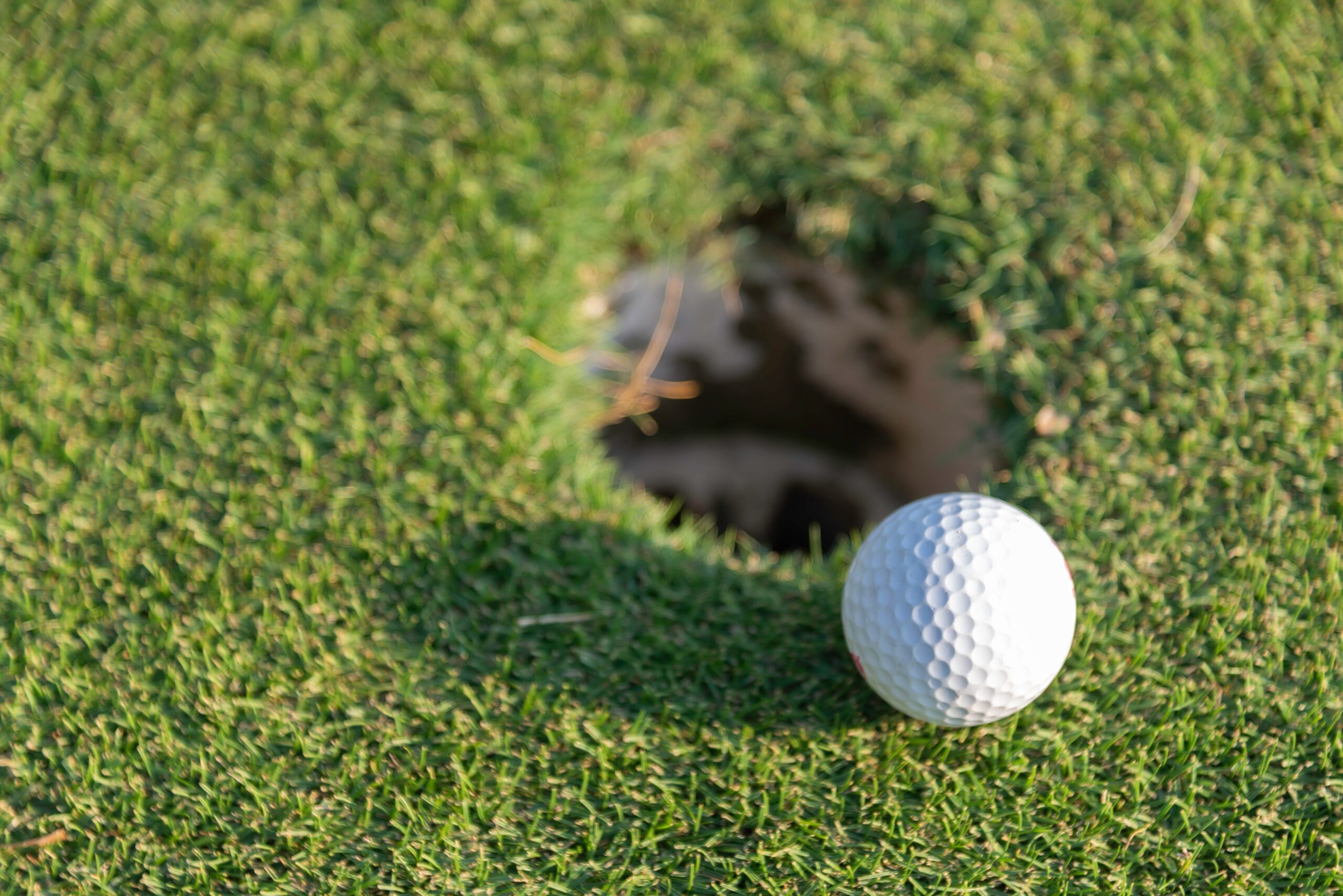 Close-up,Of,Golf,Ball,On,Grass,Golf,Course,And,Sunrise Risk Management Lessons From Golf